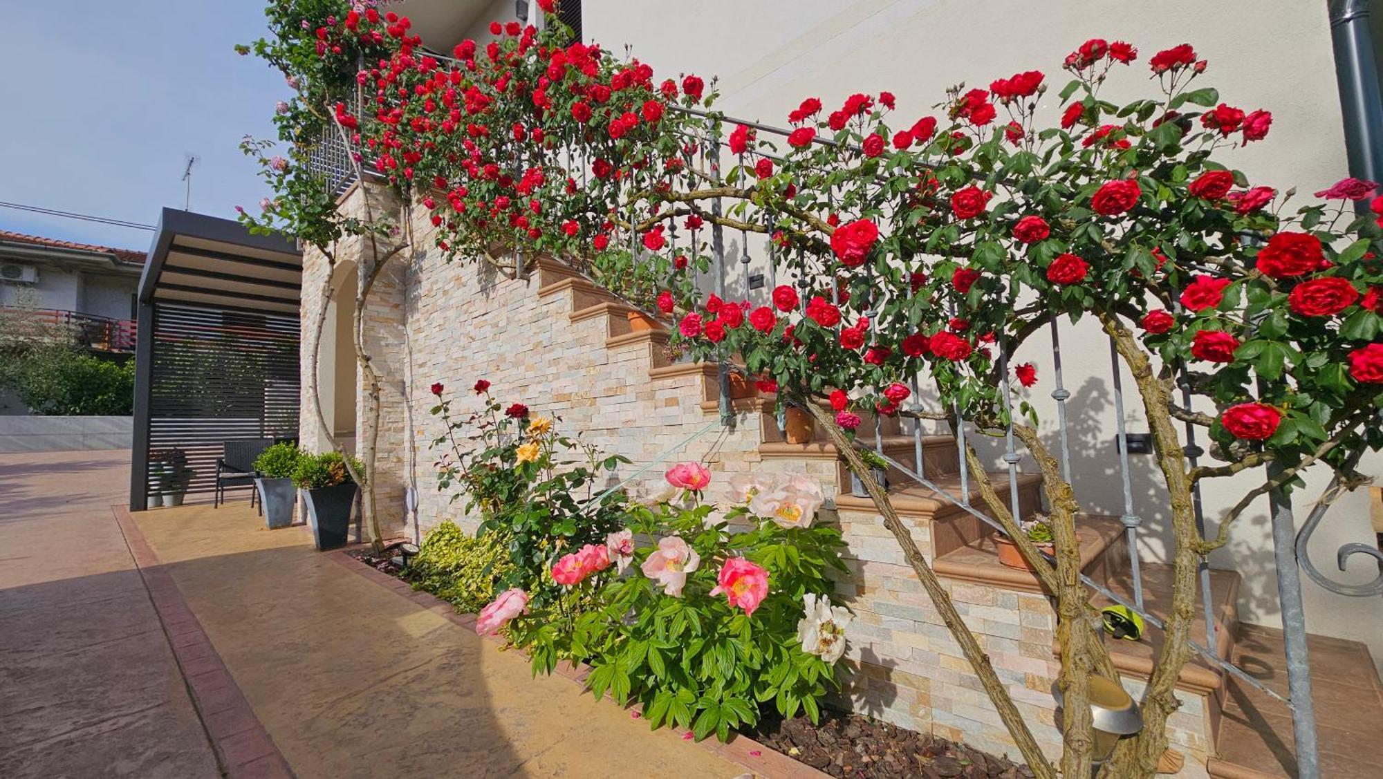 New Istrian Experience By Istrian Apartments Koper Kültér fotó